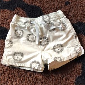 Rylee & Cru Lion Trunks